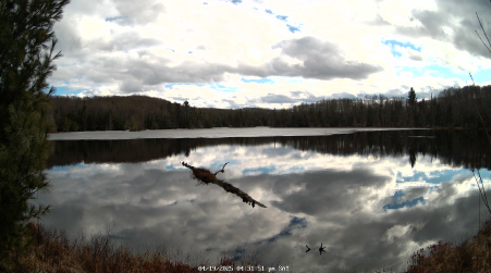 Image from 2025-04-19