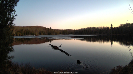 Image from 2025-04-19