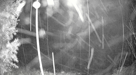 Image from 2025-04-20