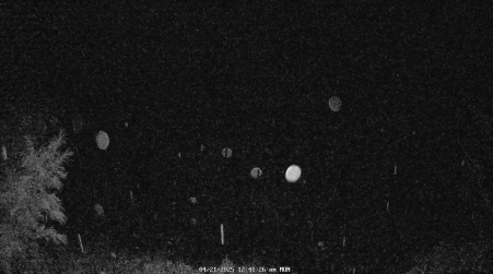 Image from 2025-04-21