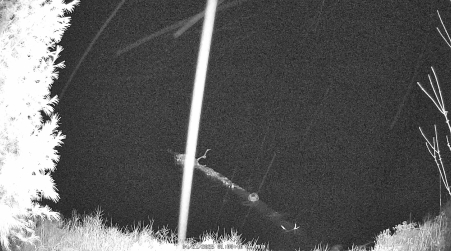 Image from 2025-04-21
