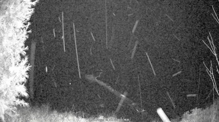 Image from 2025-04-21