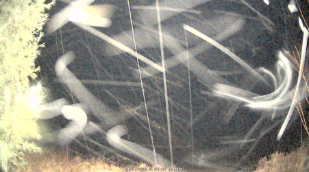 Image from 2025-04-21