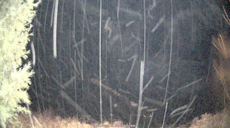 Image from 2025-04-21
