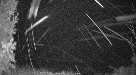 Image from 2025-04-21