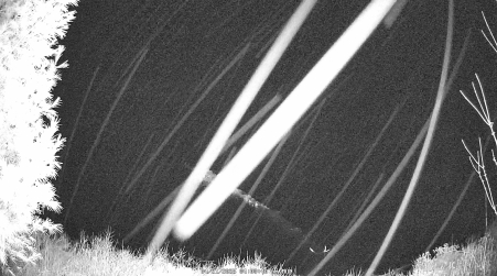 Image from 2025-04-21