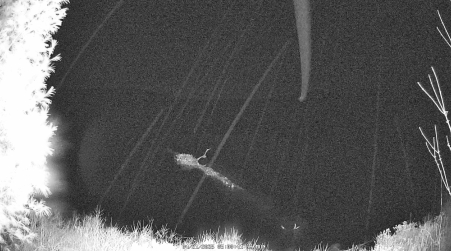 Image from 2025-04-21