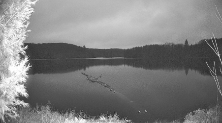 Image from 2025-04-21