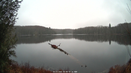 Image from 2025-04-21
