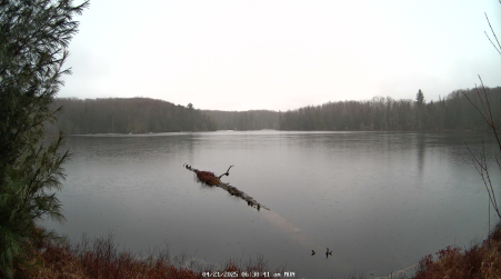 Image from 2025-04-21