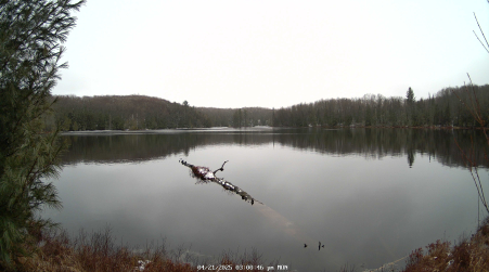 Image from 2025-04-21