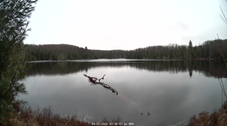 Image from 2025-04-21