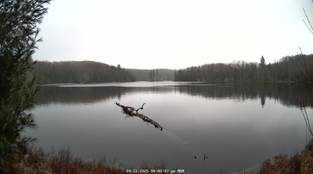 Image from 2025-04-21