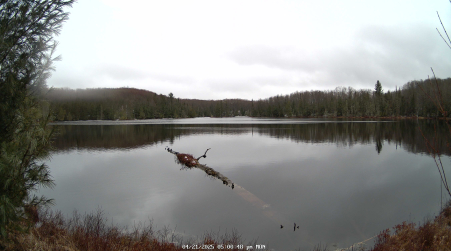 Image from 2025-04-21