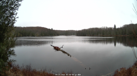 Image from 2025-04-21