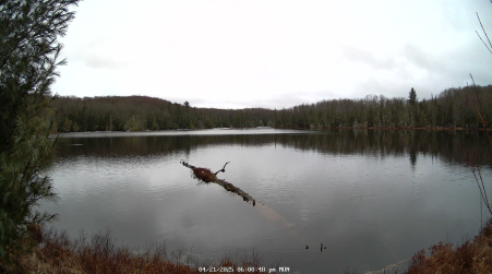 Image from 2025-04-21