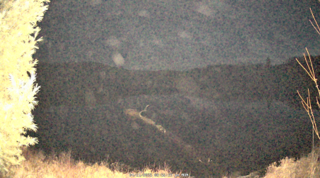 Image from 2025-04-21