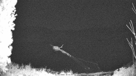 Image from 2025-04-23