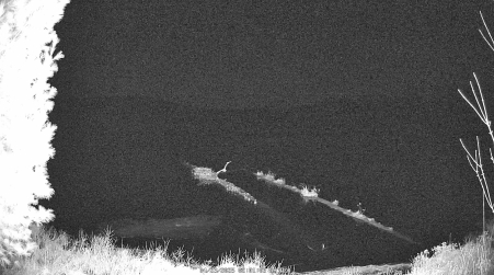 Image from 2025-04-23