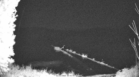 Image from 2025-04-23