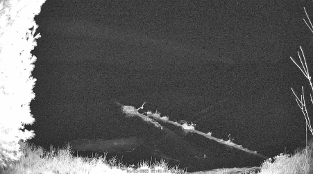 Image from 2025-04-23