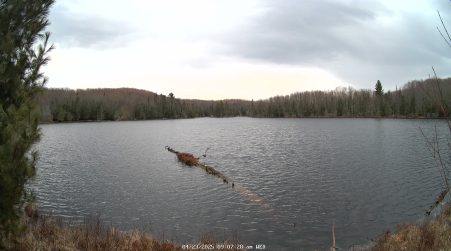 Image from 2025-04-23