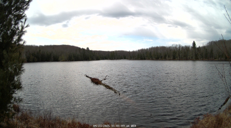 Image from 2025-04-23