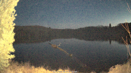 Image from 2025-04-23