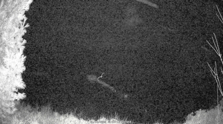 Image from 2025-04-23
