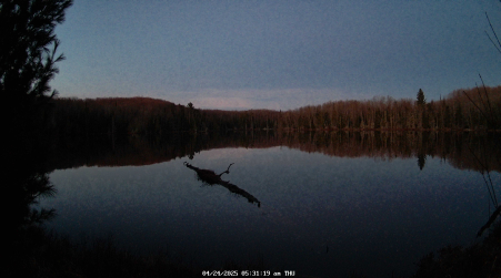 Image from 2025-04-24