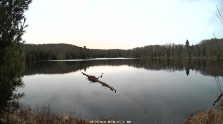 Image from 2025-04-24