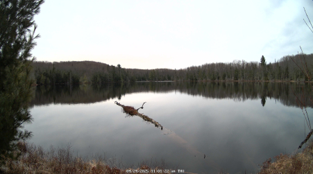 Image from 2025-04-24