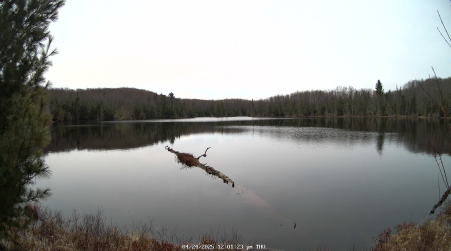 Image from 2025-04-24
