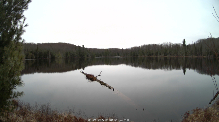 Image from 2025-04-24