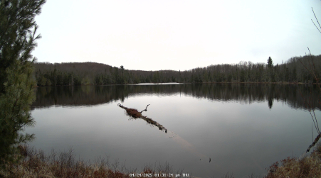 Image from 2025-04-24