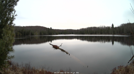 Image from 2025-04-24