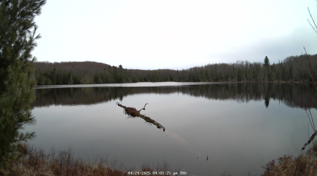 Image from 2025-04-24