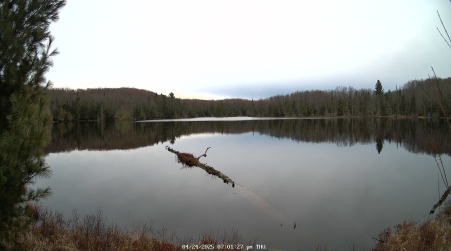 Image from 2025-04-24