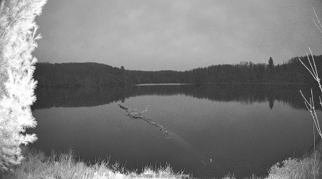 Image from 2025-04-24