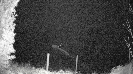 Image from 2025-04-24