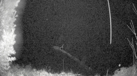 Image from 2025-04-24