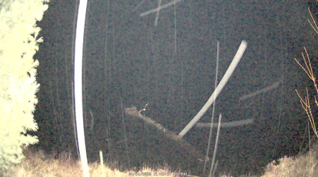 Image from 2025-04-24