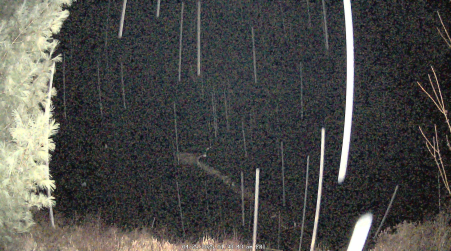 Image from 2025-04-25