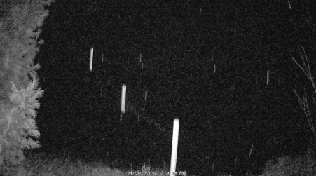 Image from 2025-04-25