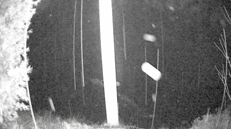 Image from 2025-04-25