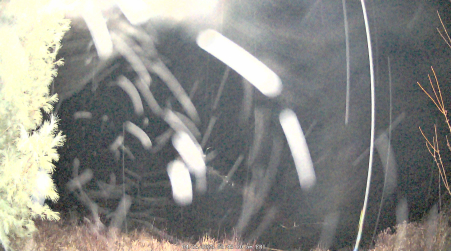 Image from 2025-04-25