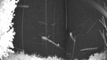 Image from 2025-04-25
