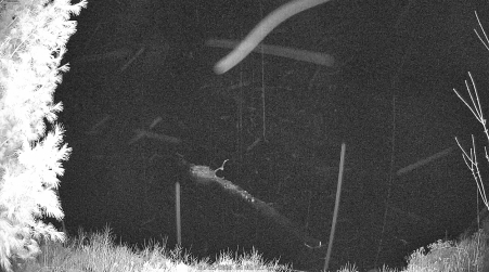 Image from 2025-04-25