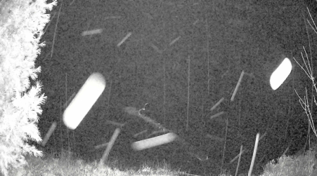 Image from 2025-04-25