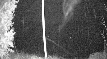 Image from 2025-04-25